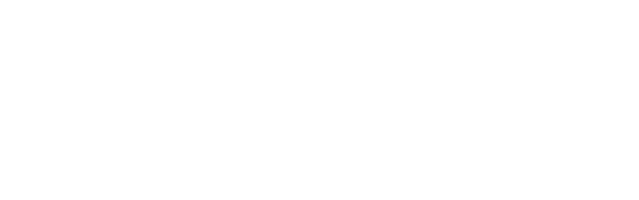 Blue Bit Link